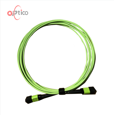 12F MTP MPO OM5 Trunk-kabel